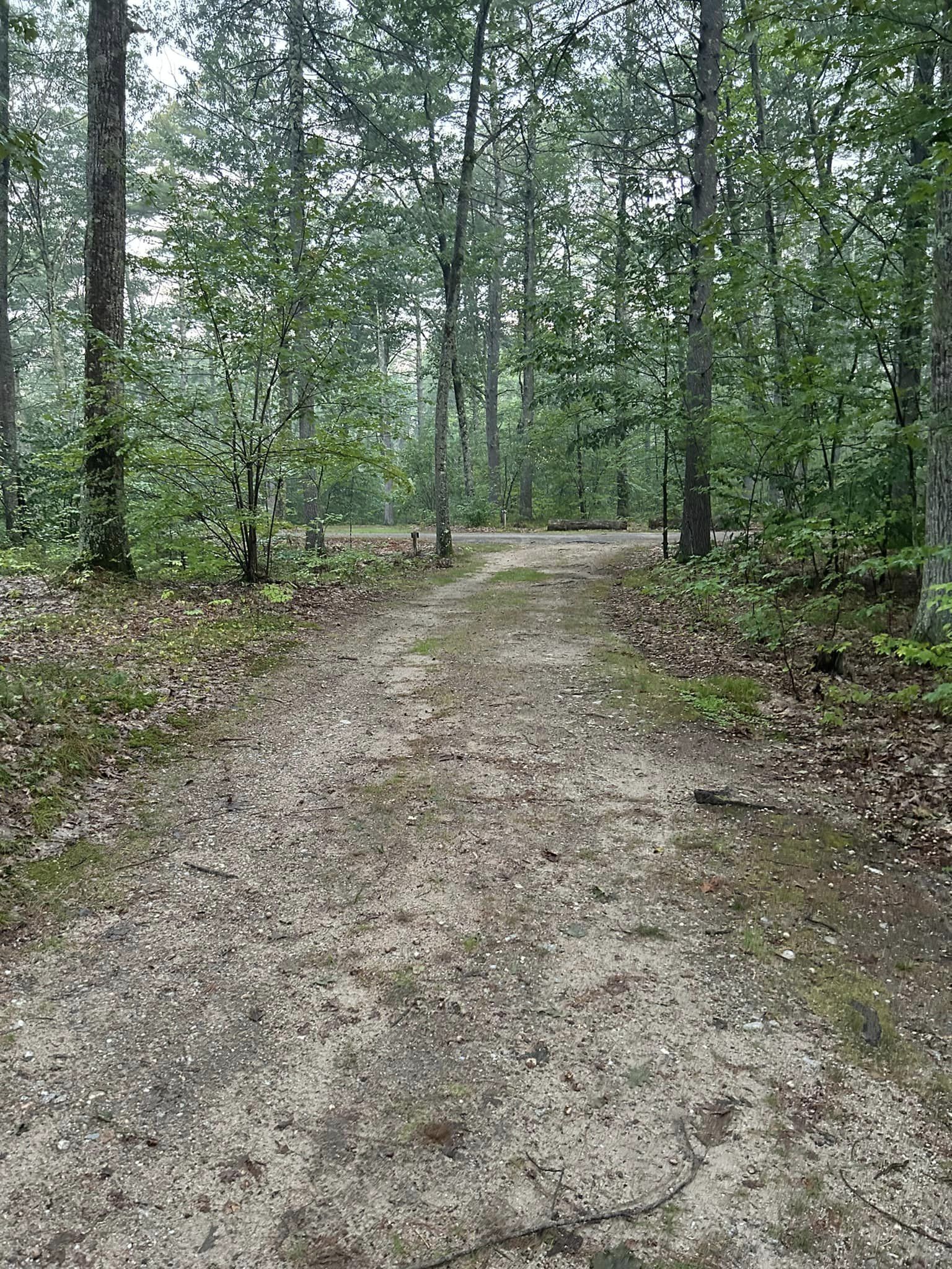 Greenfield State Park Campground Review Em’s Hyperfocused Life